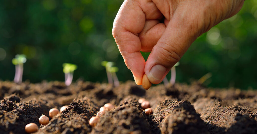 Seeds & Planting Material