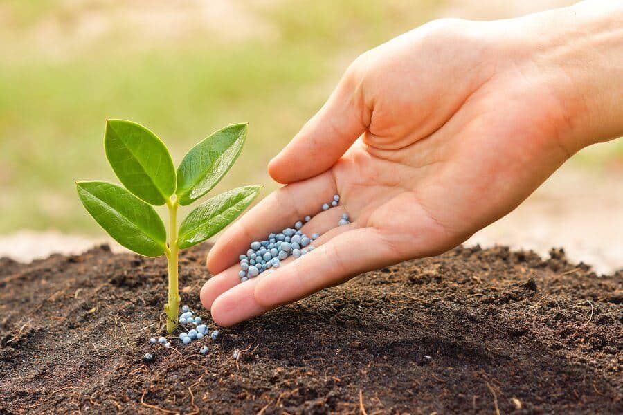 Organic Fertilizers